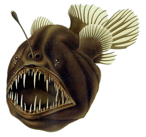 An artist's rendition of an anglerfish showing its horrible mouth.