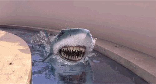 A gif of a shark attempting to attack Gru from Despicable Me, but getting smacked down.
