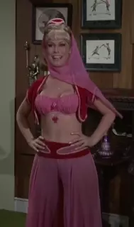 Jeannie from I Dream of Jeannie disappearing.