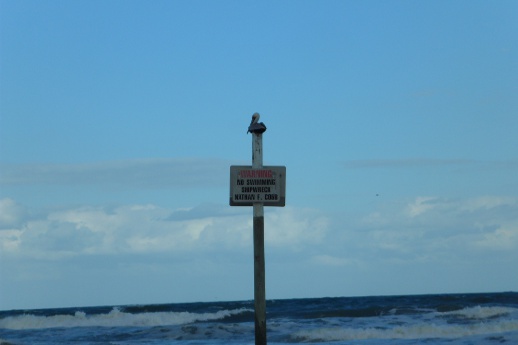 A sign sticking out of the ocean.