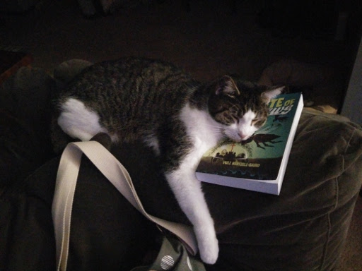 A cat sleeping with its face resting on the book The Taste of Cashews.